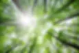 Nature apaisante Agathe Lapalut naturopathe